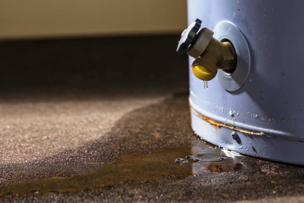 Best Flooded house restoration  in Watkinsville, GA