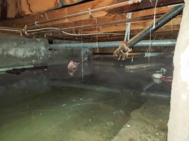 Carpet water damage restoration in Watkinsville, GA