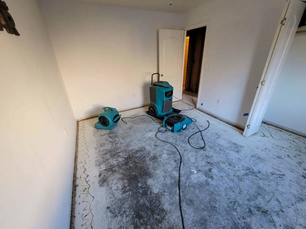 Best Water damage restoration experts  in Watkinsville, GA
