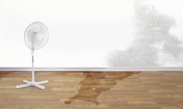 Local water damage restoration in Watkinsville, GA