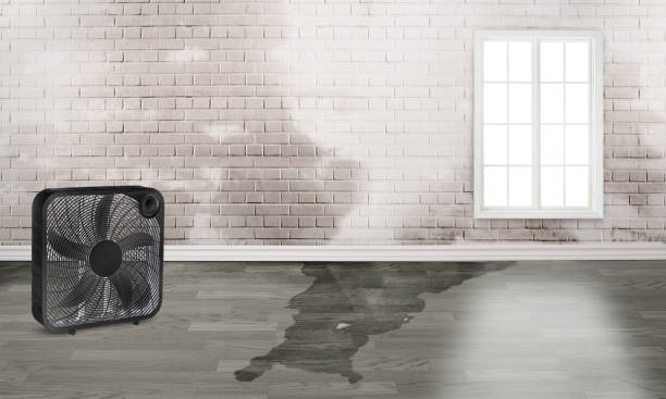 Best Commercial water damage restoration  in Watkinsville, GA