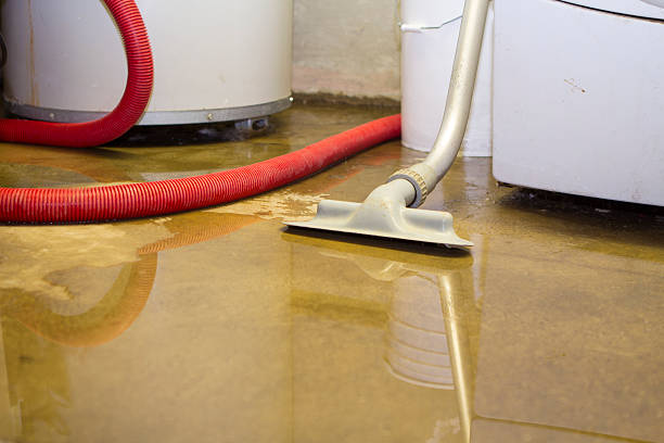 Best Local water damage restoration  in Watkinsville, GA