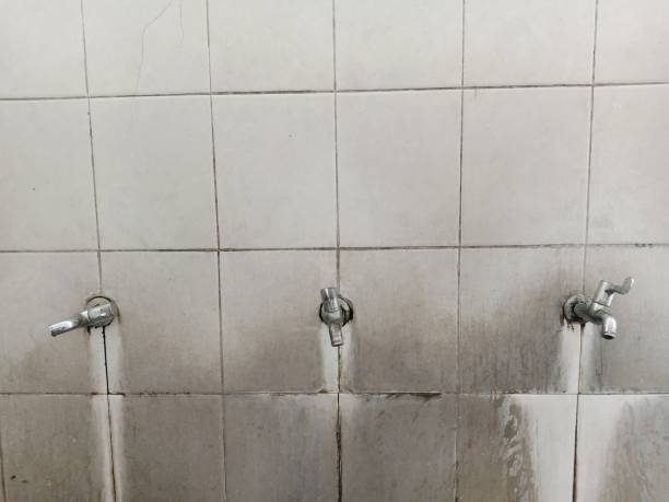 Best Residential water damage restoration  in Watkinsville, GA