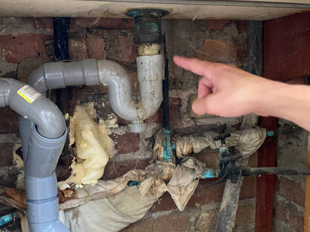 Best Flood damage cleanup  in Watkinsville, GA