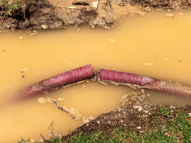 Trusted Watkinsville, GA Water damage restoration Experts