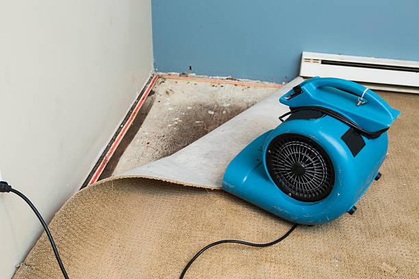 Best Professional water damage repair  in Watkinsville, GA